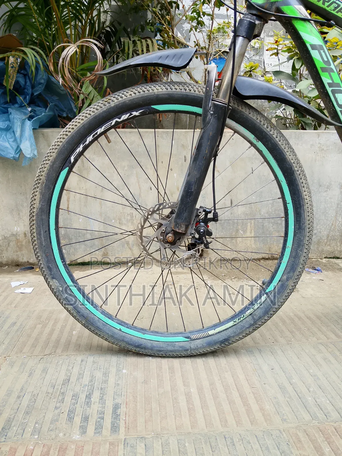 26" Phoenix:Tornedo for Sell
