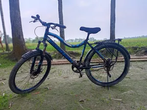 Non-Gear Bicycle
