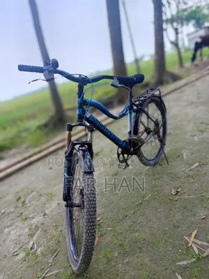Non-Gear Bicycle