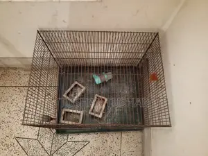 Bird Cage - 24 inches * 18 inches * 18 inches