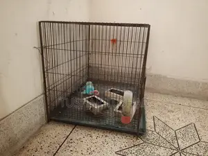 Bird Cage - 24 inches * 18 inches * 18 inches