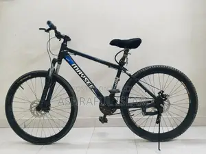 Non-gear Fresh Bicycle