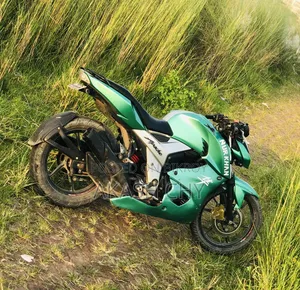TVS Apache 160 4V 2019 Red