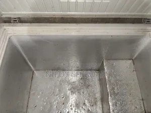 300 Liter Deep Freezer