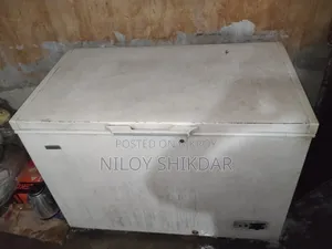300 Liter Deep Freezer