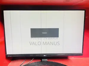 LG 22 Inch Monitor