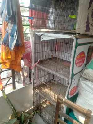 Cage for Sale