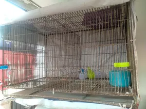 Cage for Sale