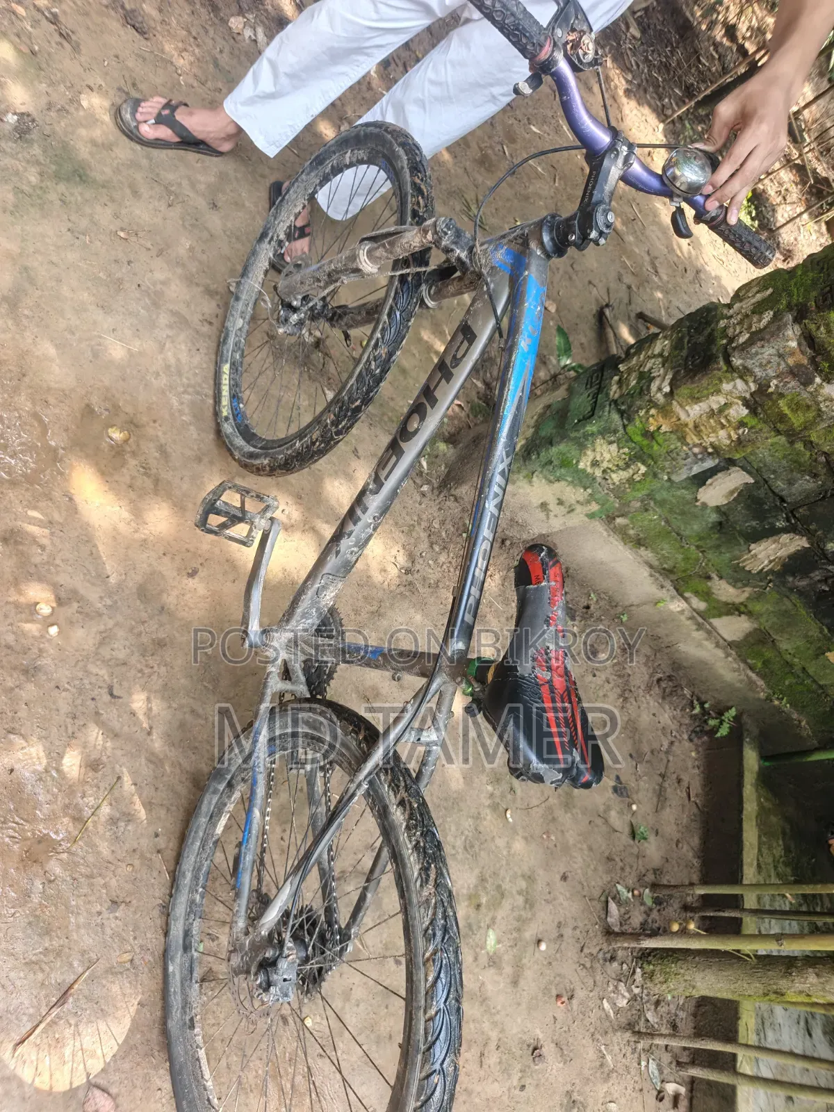 Phoenix Bicycle