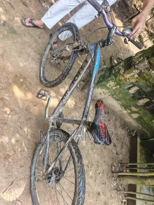 Phoenix Bicycle