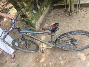 Phoenix Bicycle