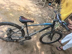 Phoenix Bicycle