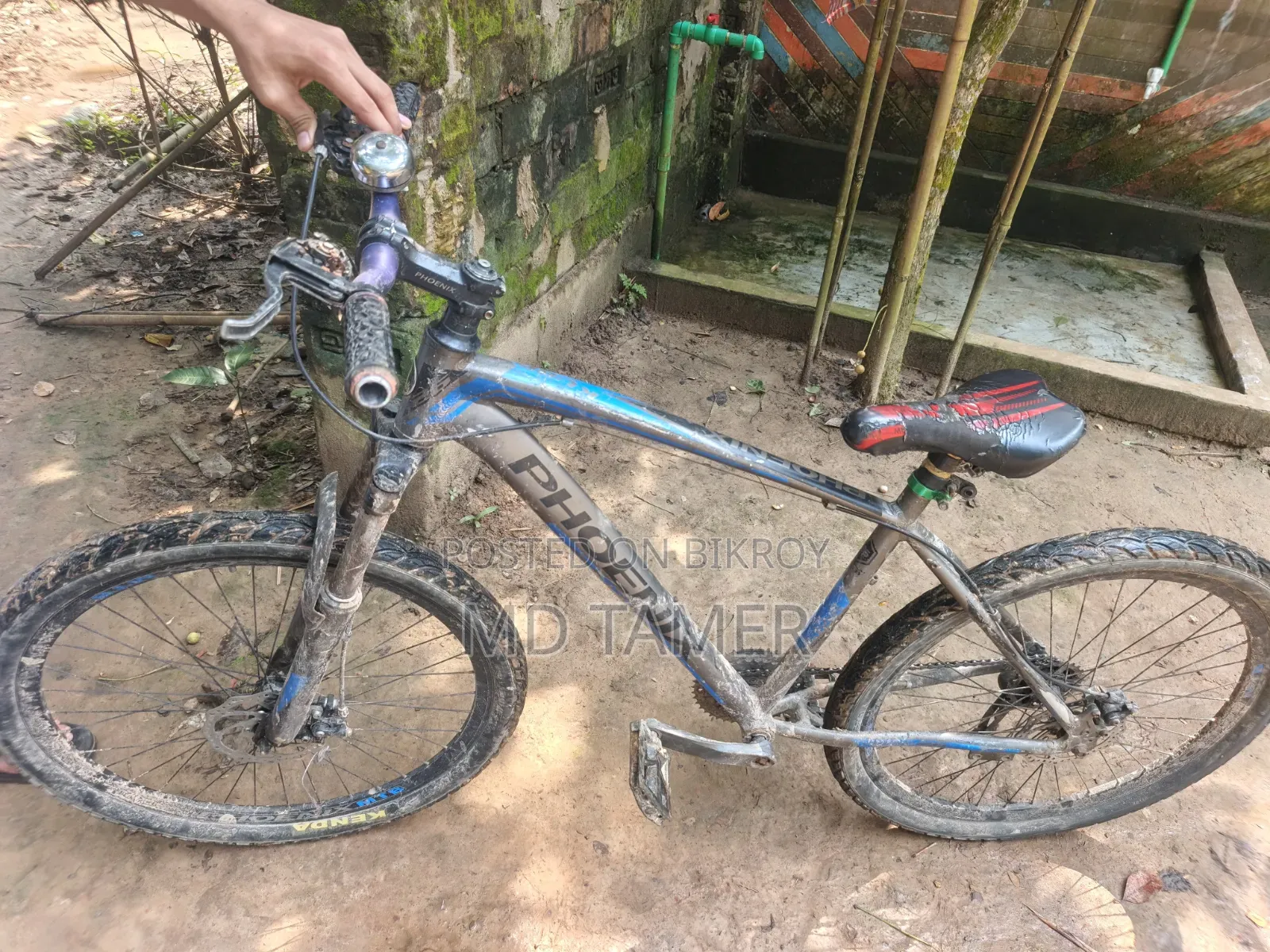 Phoenix Bicycle