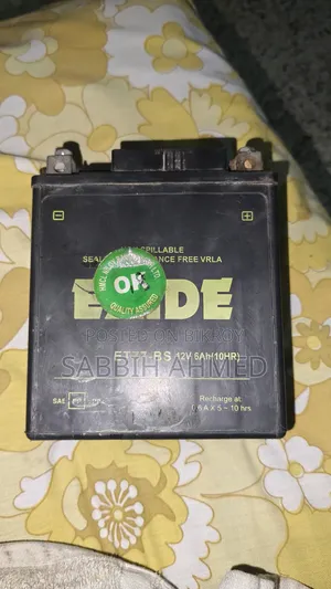 Exide Battery