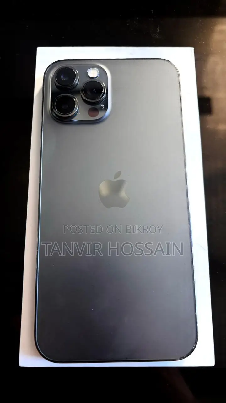 Apple iPhone 12 Pro Max 256 GB Silver