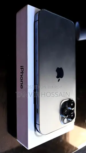 Apple iPhone 12 Pro Max 256 GB Silver