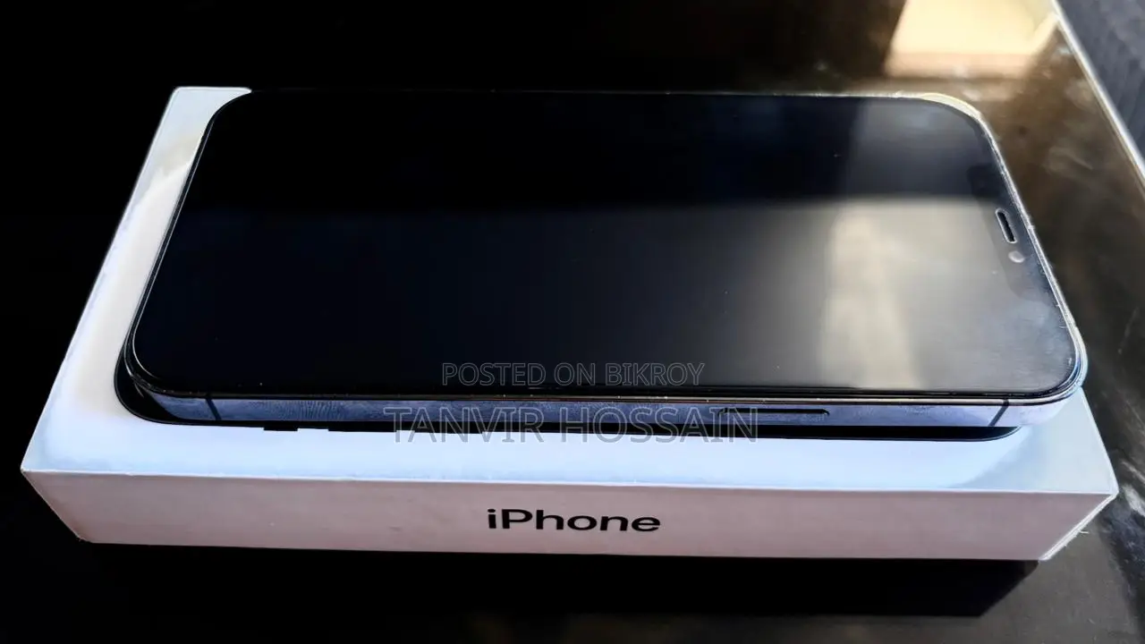 Apple iPhone 12 Pro Max 256 GB Silver