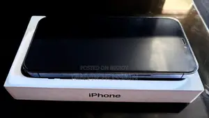 Apple iPhone 12 Pro Max 256 GB Silver