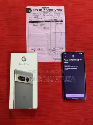 Google Pixel 7 Pro 128 GB Gray
