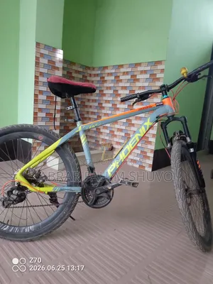 Phoenix 26" Mountain Bike