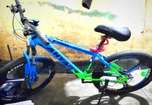 Bicycle Sale