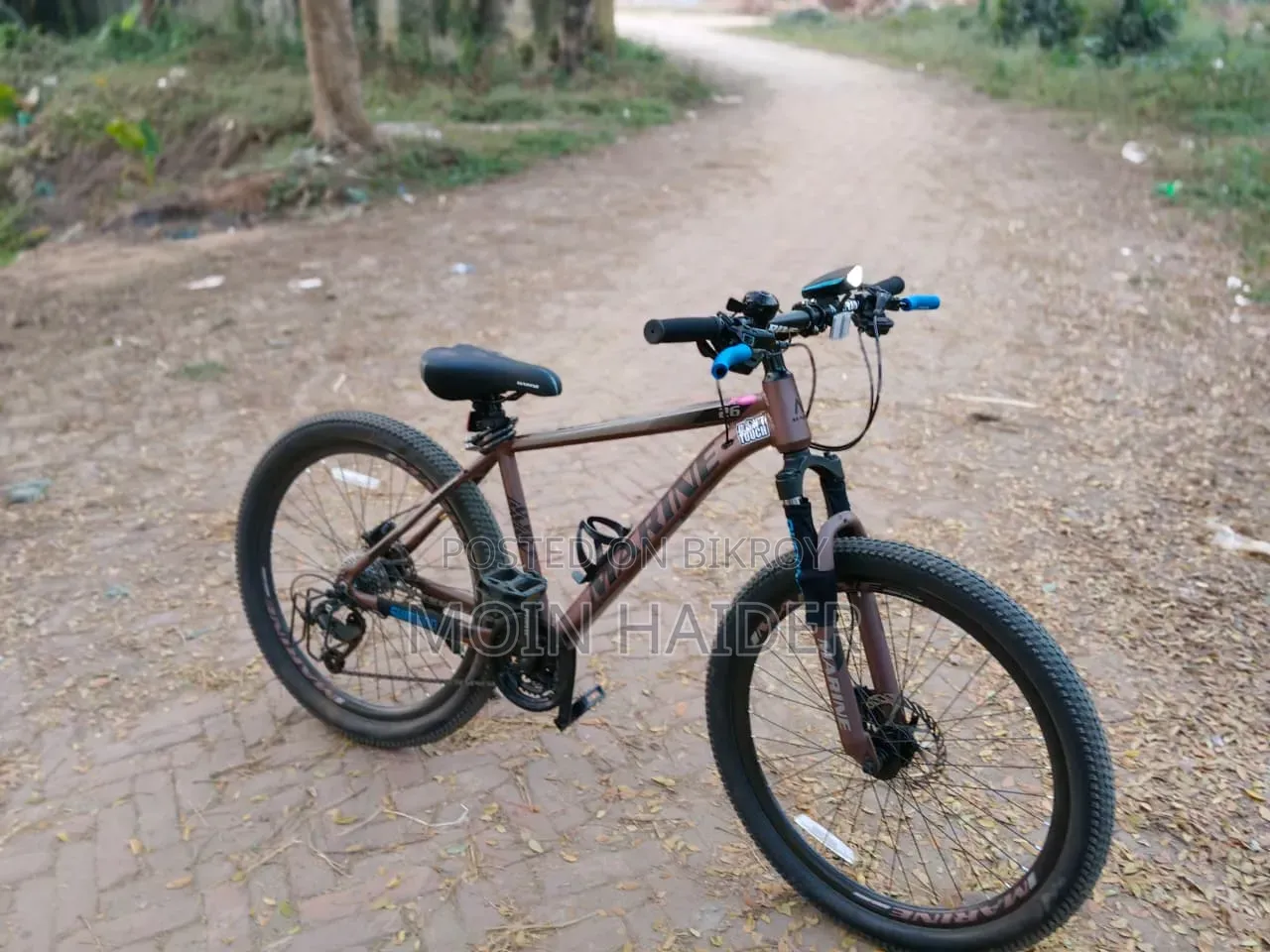 মেরিন গোল্ড ১০০