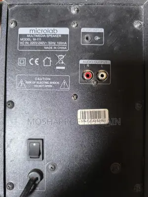 Microlab Multimedia Speaker
