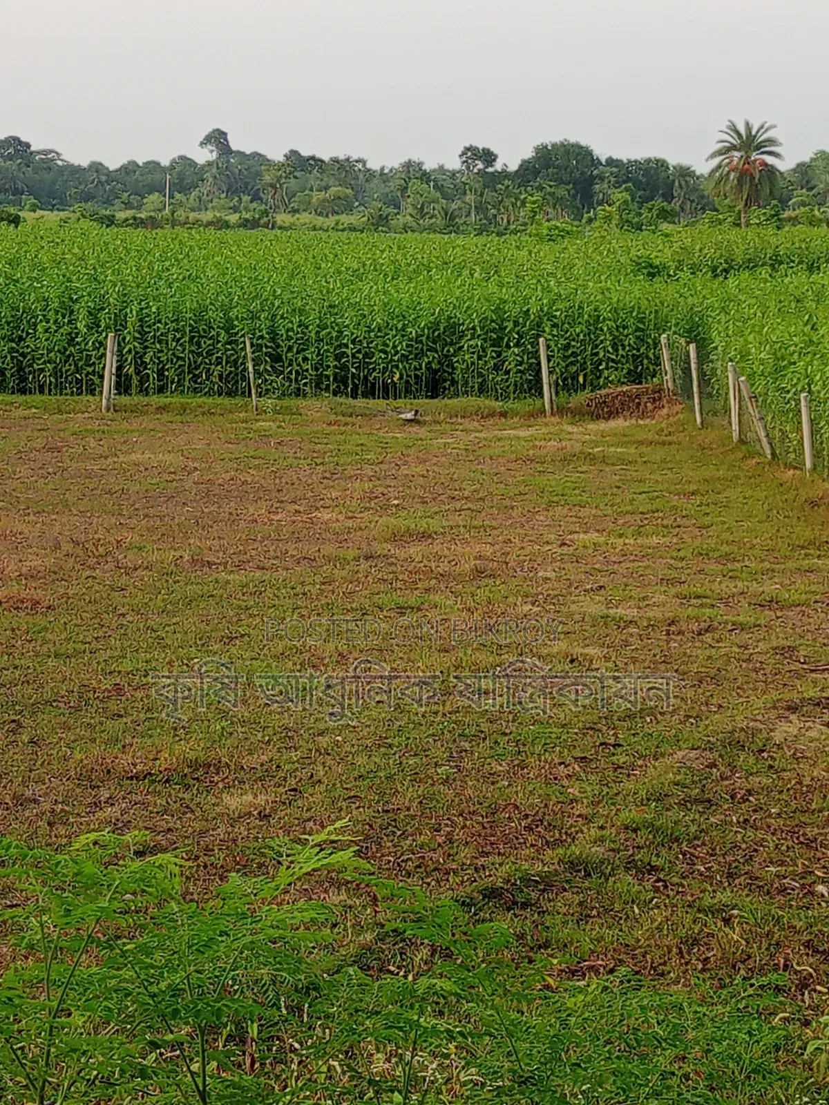 Land for sale Kalaroa