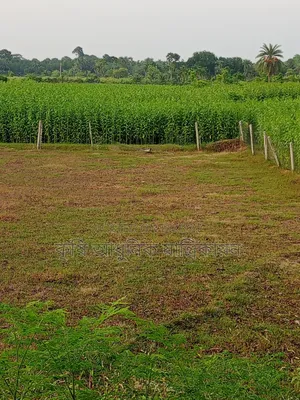 Land for sale Kalaroa