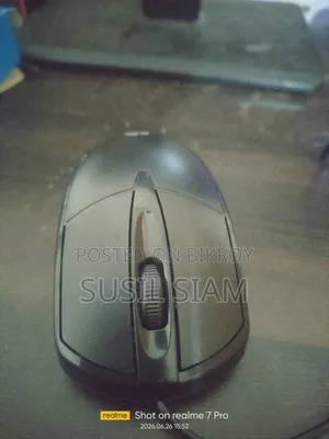 Mouse X-66