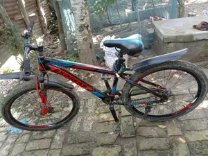 Bicycle for sale
