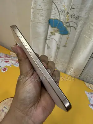 অ্যাপল আইফোন ১৬ প্রো ম্যাক্স ২৫৬ জিবি রোজ গোল্ড