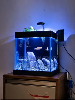 Full Setup Sell Hobe
12*12*12 Size (6mm)