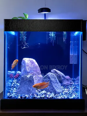 Full Setup Sell Hobe
12*12*12 Size (6mm)