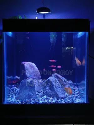 Full Setup Sell Hobe
12*12*12 Size (6mm)