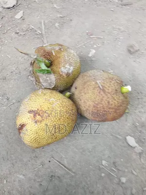 Local Ripe Jackfruit