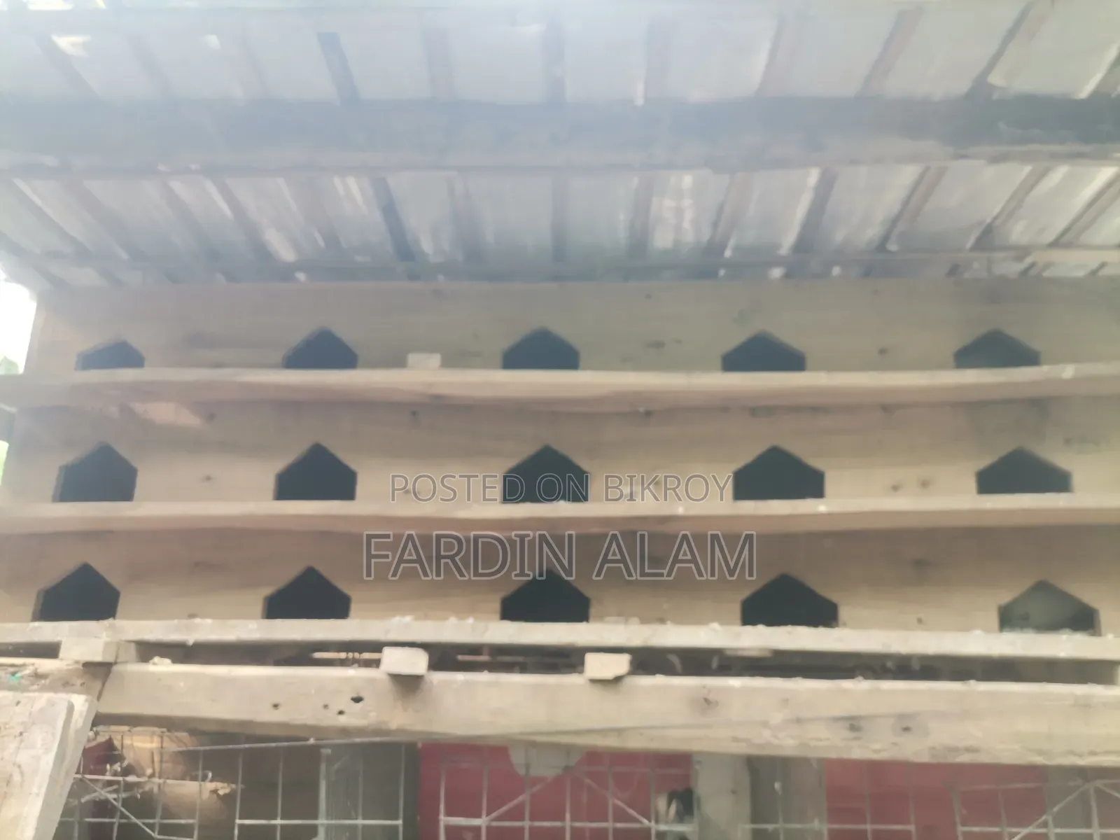 Very Sturdy Pigeon Cage