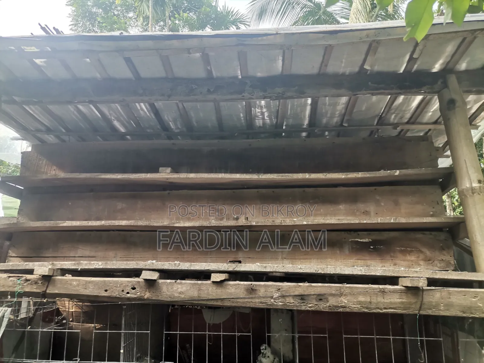 Very Sturdy Pigeon Cage