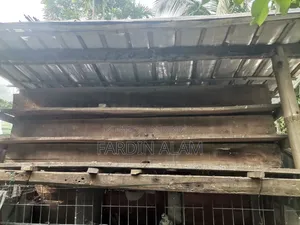 Very Sturdy Pigeon Cage