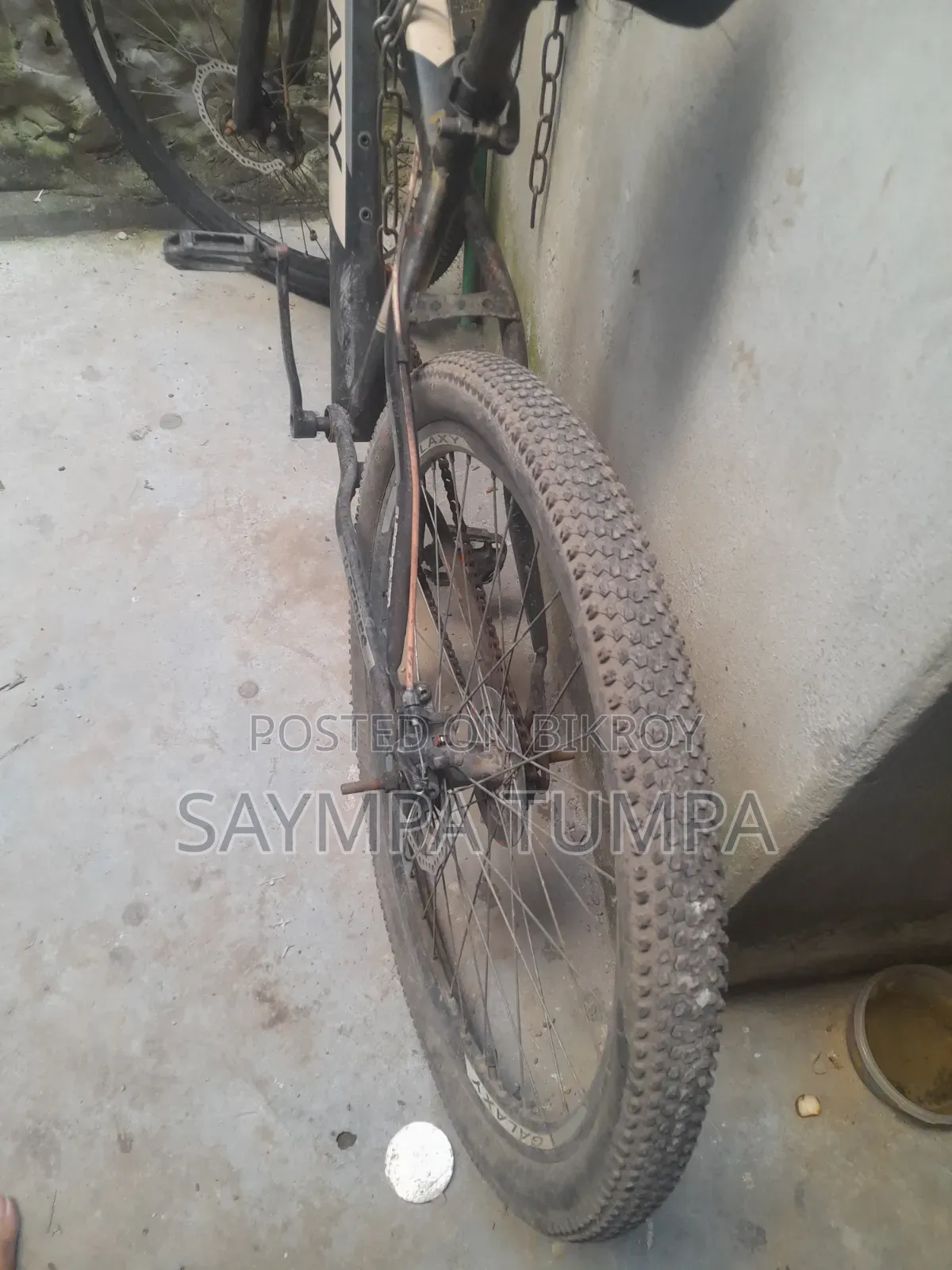 Galaxy Cycle 26 inch