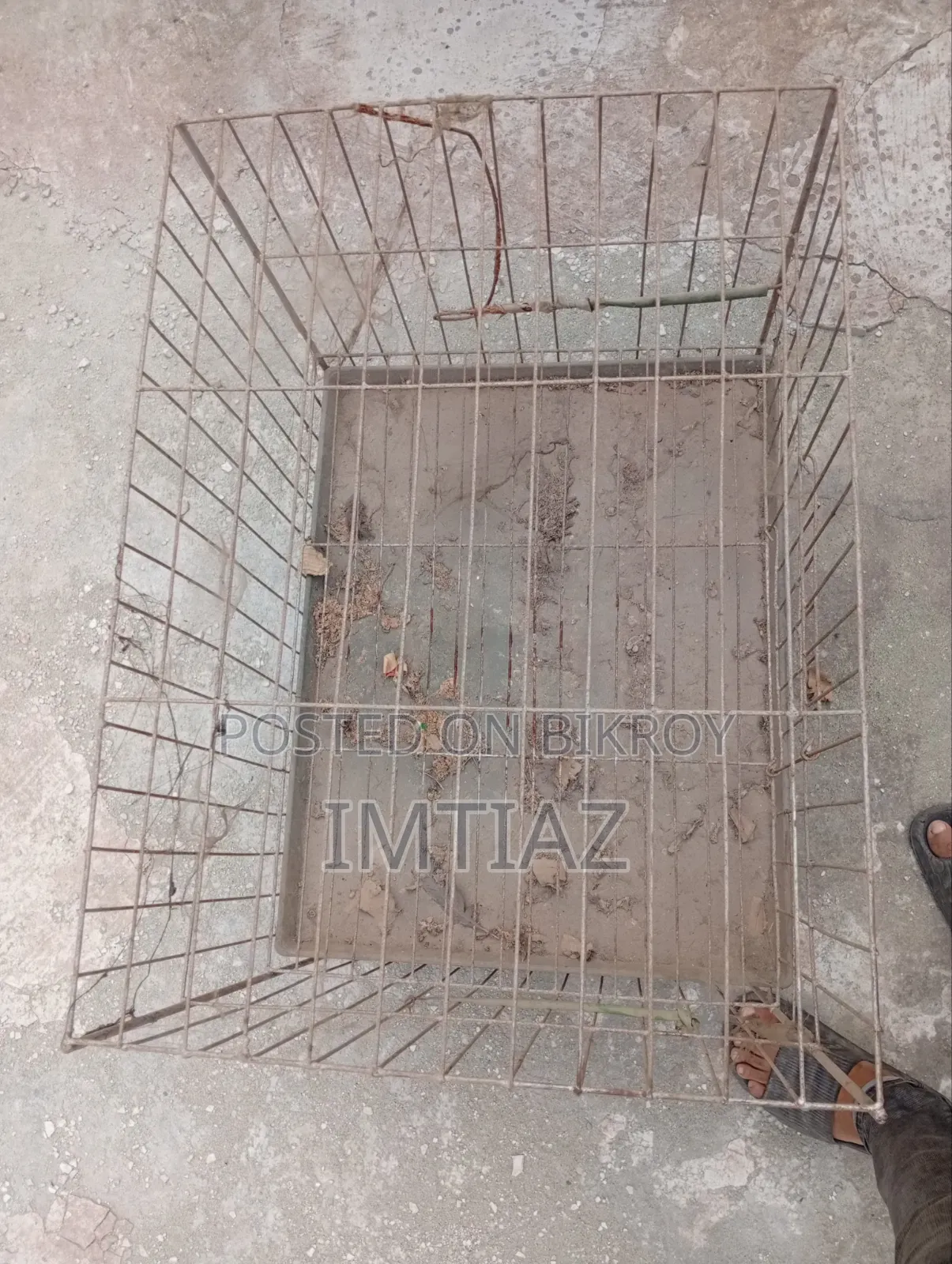 Pigeon or Chicken Cage