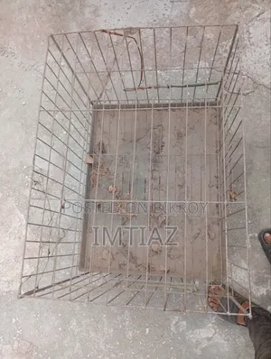 Pigeon or Chicken Cage