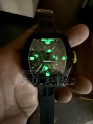 Pagani Design Premium Skeleton Watch