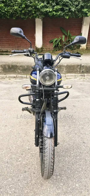 Bajaj Avenger 150 Street 2017 Purple