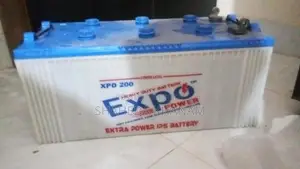 IPS 1000 VA