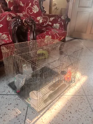 2 chicken cages with trays for sale.