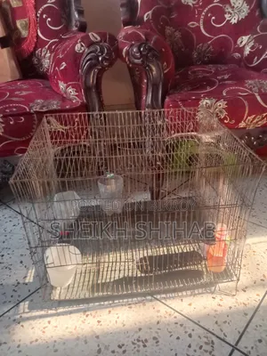 2 chicken cages with trays for sale.