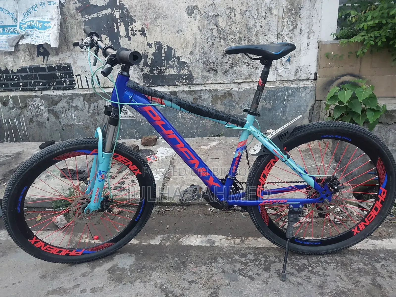 Phoenix Cycle Size 26