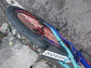 Phoenix Cycle Size 26