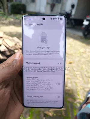 Realme GT 6 256 GB Bronze
